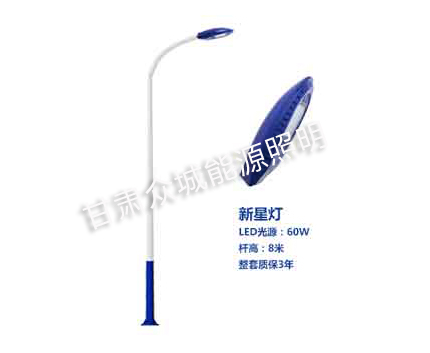 隆德爆款市电路灯