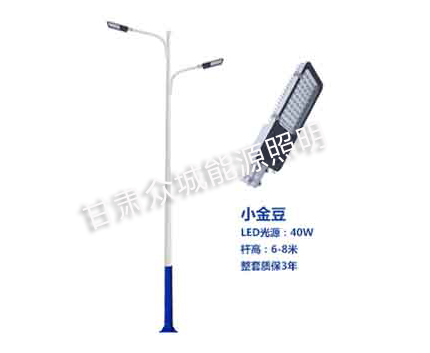 隆德爆款市电路灯